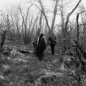 Meet your Posher, Miranda